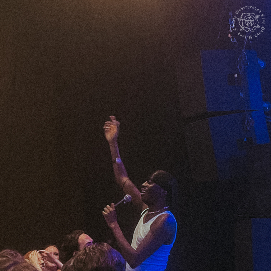 master peace autorskie zdjęcie